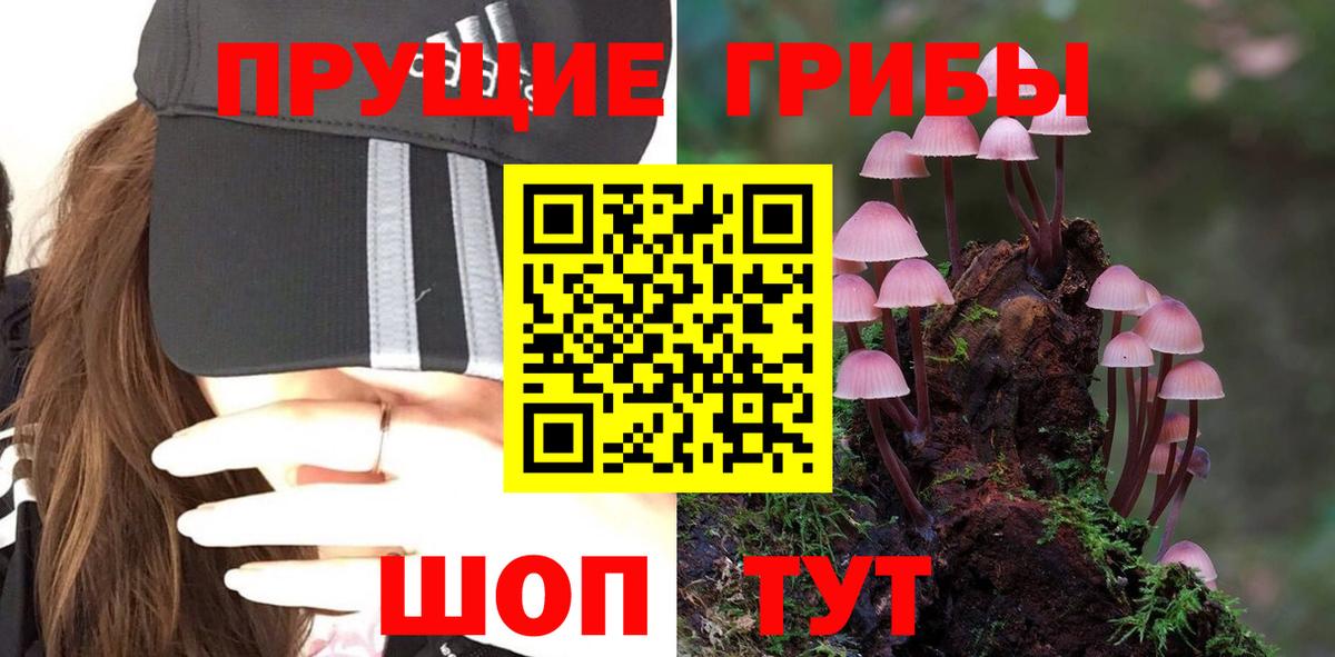 Псилоцибиновые грибы Psilocybine cubensis  Вход с VPN  Москва 